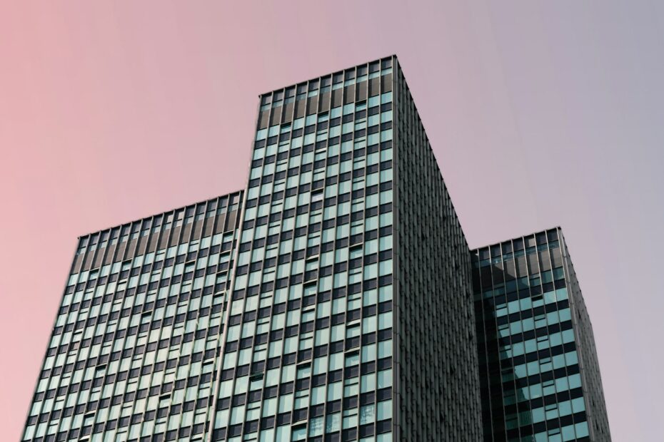 relocation à lyon